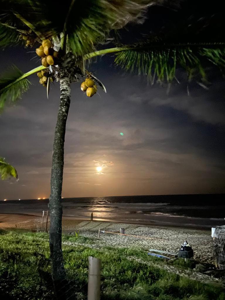 Ancorar Resort Beira-Mar De Pôrto das Galinhas Exteriör bild